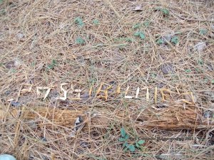 Are you open to seeing possibilities wherever you go?